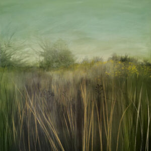12. Paula Kearney – Wild Wet Meadow